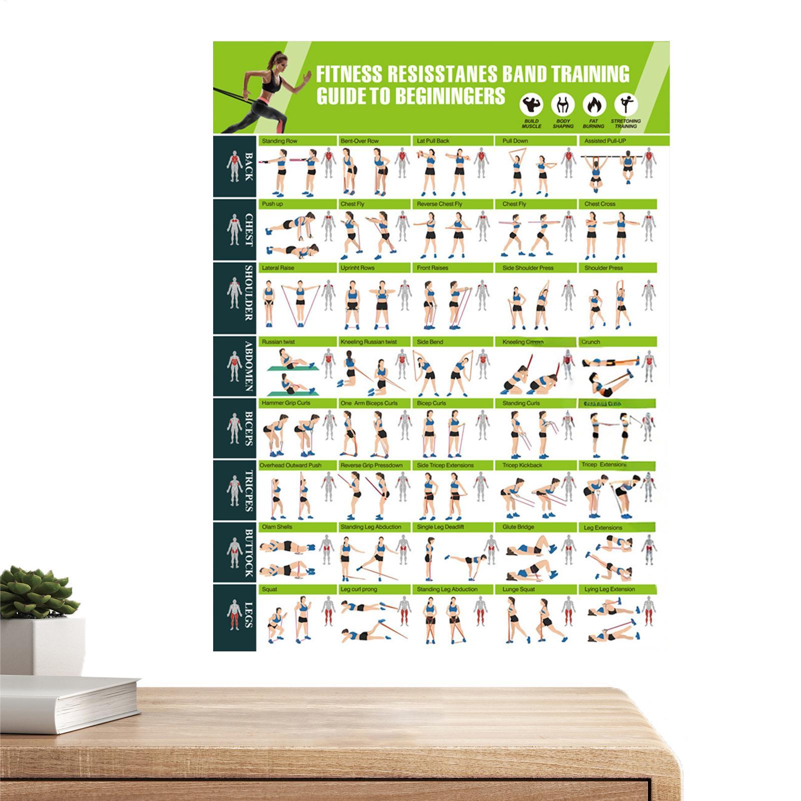 Exercise Posters Resistance Ba - مراجعة Women Accessories Poster وسعره
