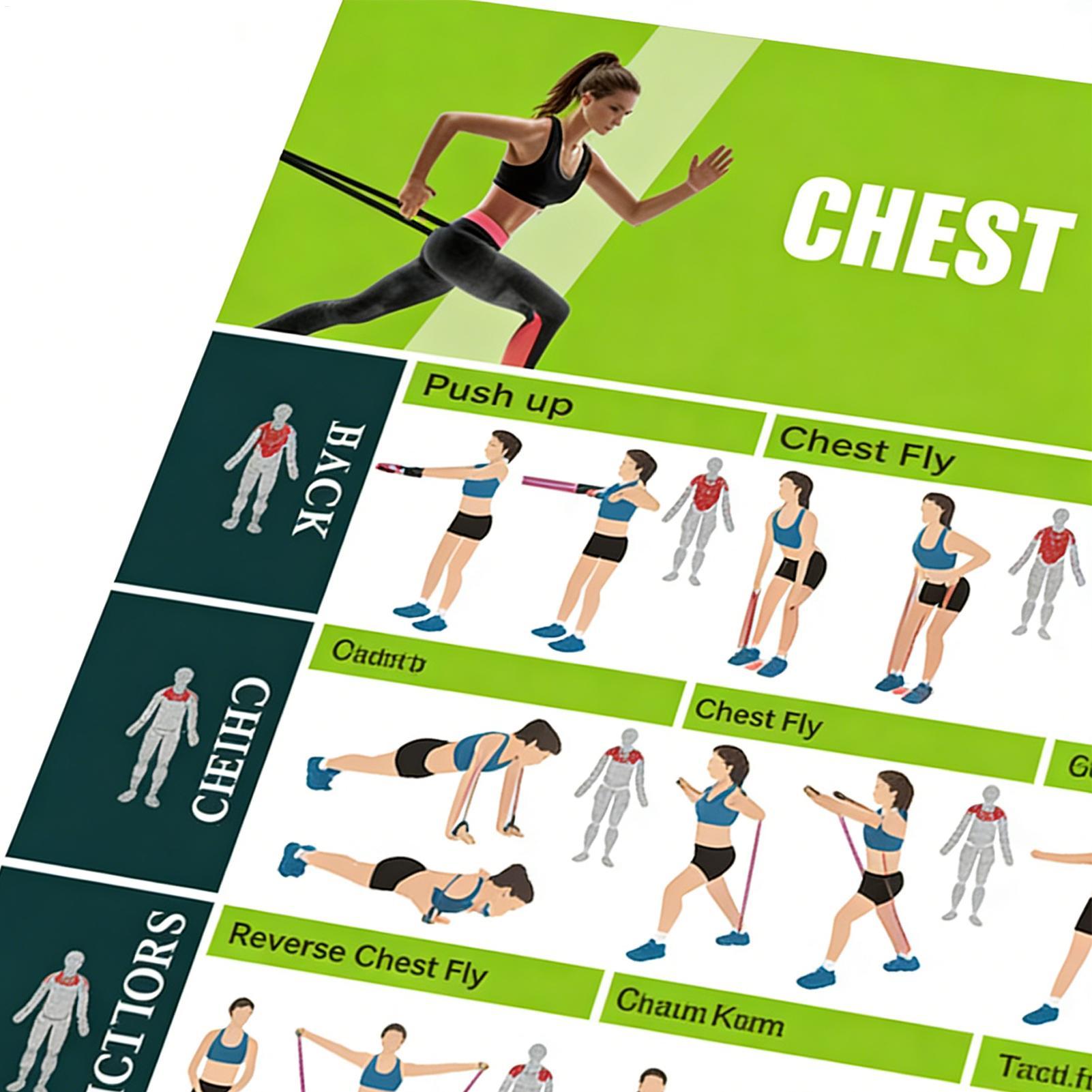 Exercise Posters Resistance Ba - مراجعة Women Accessories Poster وسعره