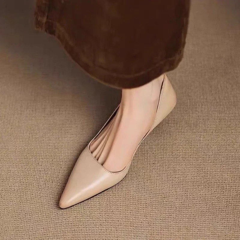 Women's Pointed Toe Stiletto H - مراجعة Women'S Shoes And Accessories وسعره