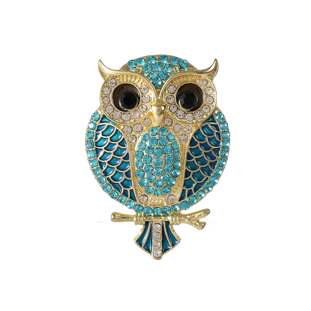 Owl Brooches for Women  Bird C - مراجعة Women'S Accessories Categories وسعره