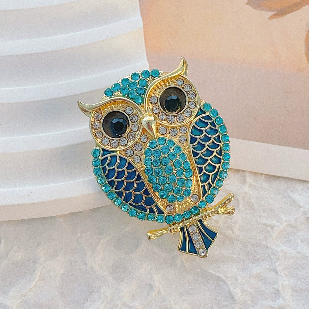 Owl Brooches for Women  Bird C - مراجعة Women'S Accessories Categories وسعره