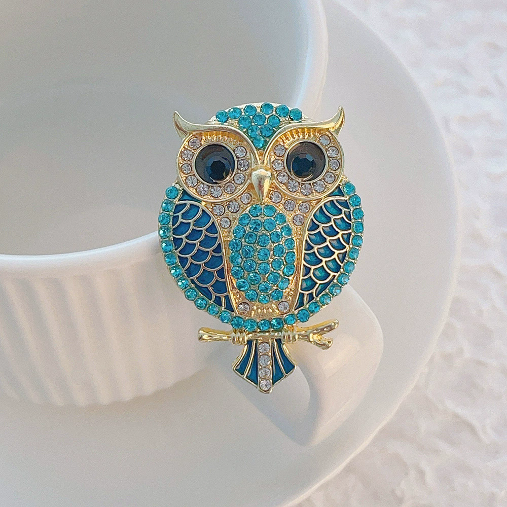 Owl Brooches for Women  Bird C - مراجعة Women'S Accessories Categories وسعره